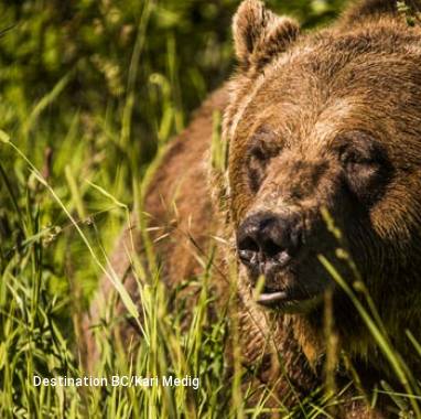 10 Day Rockies Wildlife Explorer