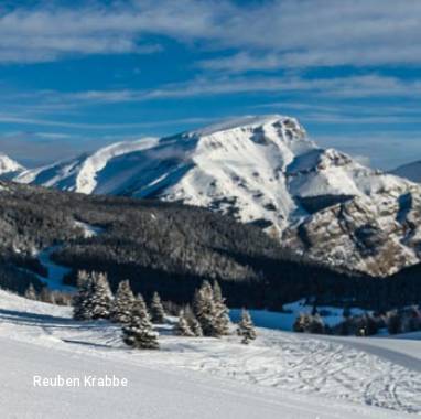 Winter Wonders: Canadian Rockies Expedition